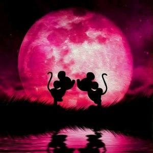 Meet your Posher, Wendy